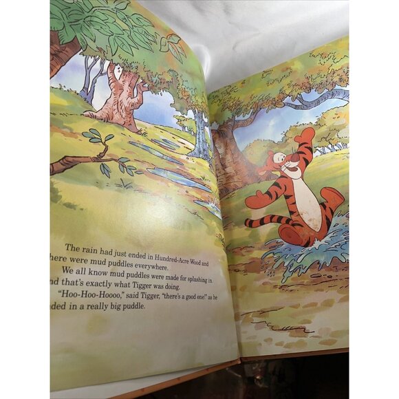 Disney's The New Adventures of Winnie the Pooh: Stripes Large Hardcover Kid Book - Picture 8 of 10